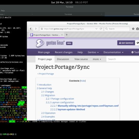 gentoo.surface gentoo.surface