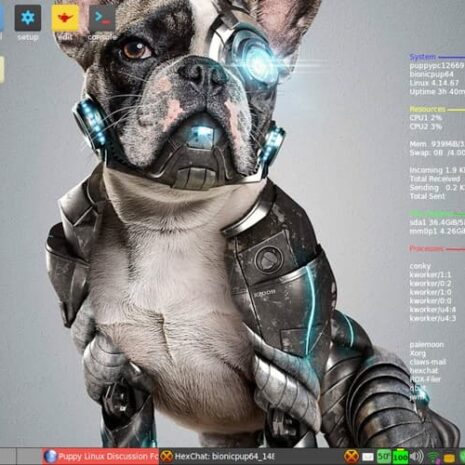 puppy.linux.bionicpup64 puppy.linux.bionicpup64