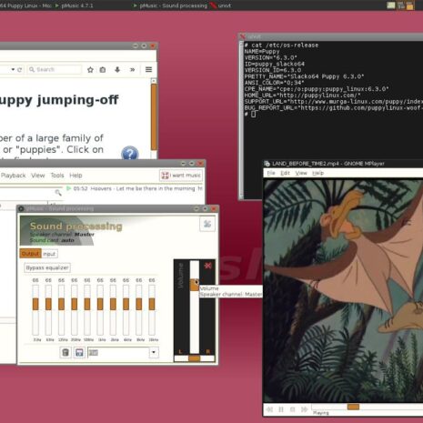 Puppy Linux Desktop Puppy Linux desktop operating system